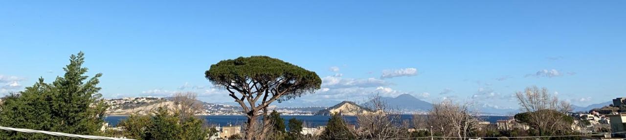 B&B Mediterraneo Procida Buitenkant foto